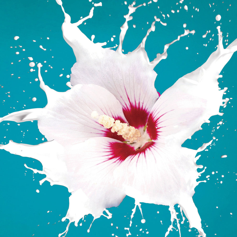 "Flower Burst" Tempered Glass Wall Art