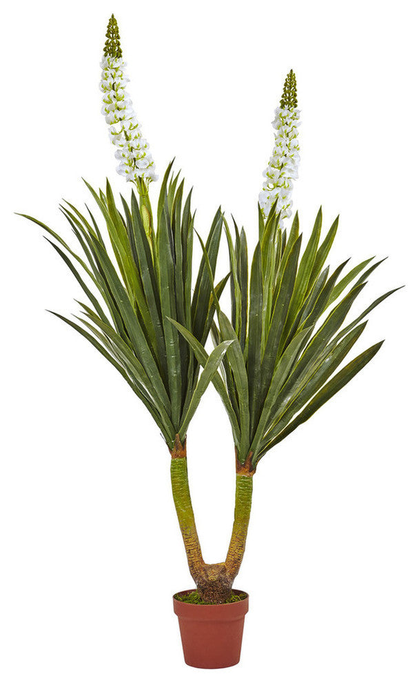 57" Flowering Yucca Plant