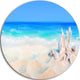Seashells On Seashore, Beach And Shore Photo Disc Metal Artwork, 23"