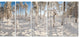 Winter Snow Covered Wood, Landscape Canvas Art Print, 60"x28", 5 Panels