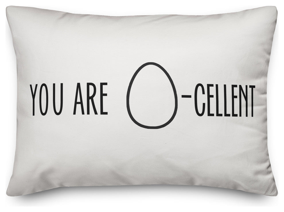 You are Egg-Celent 14x20 Lumbar Pillow