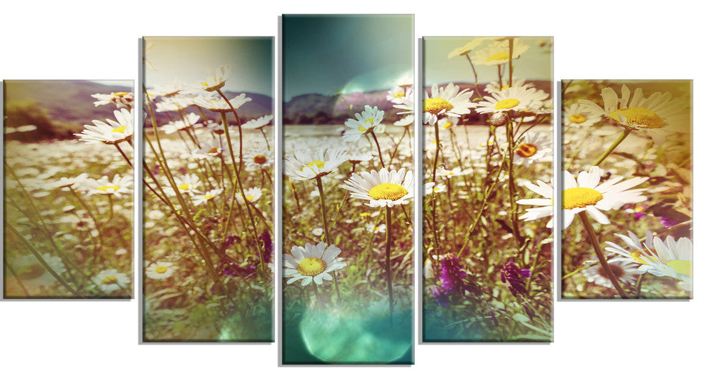 Chamomile Flowers in Summer Garden, Landscape Canvas Print, 60"x32", 5 Panels