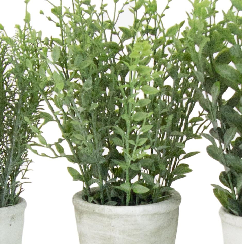 Green Faux Floral Assorted Herb Plants 3-Piece Set