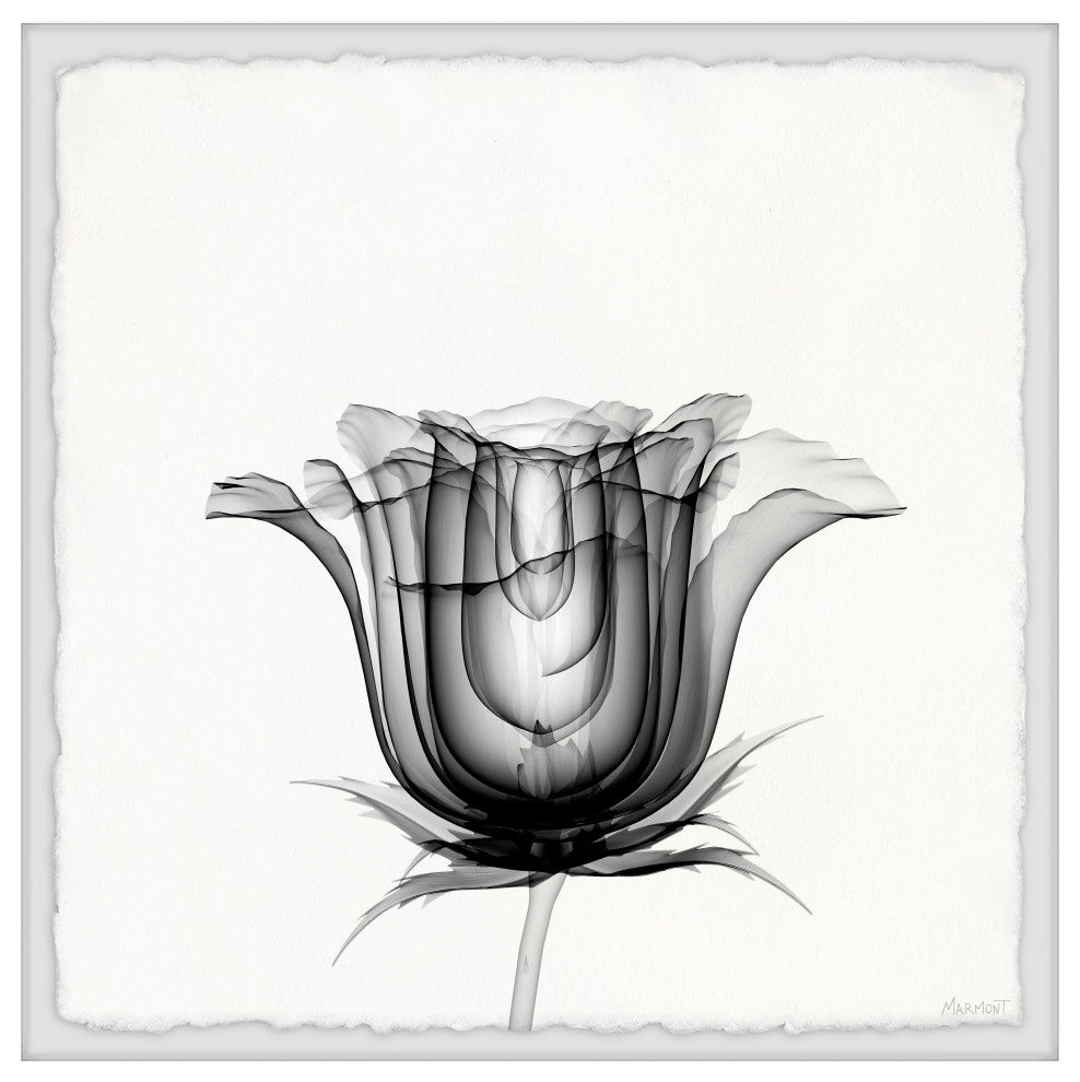 "Exquisite Tulip" Framed Painting Print, 32x32