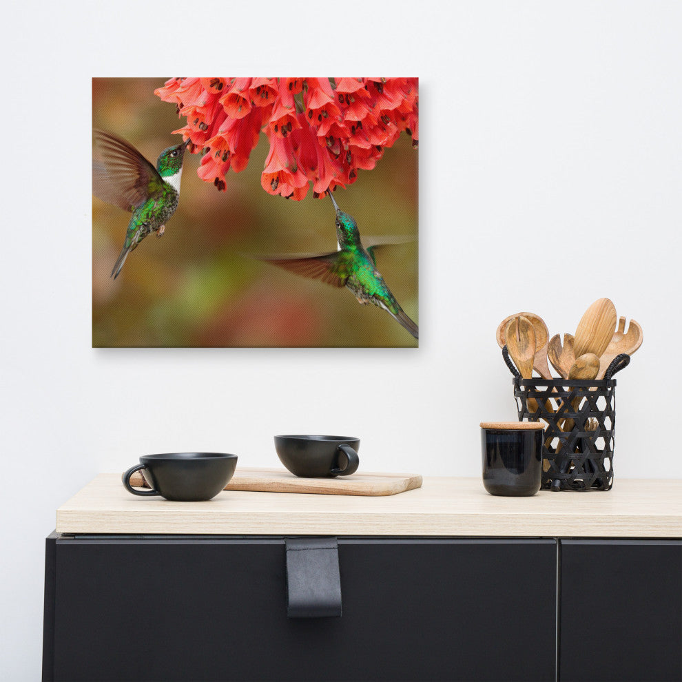 Hummingbirds Reddish-Orange Flowers Animal Wildlife Photo Canvas Wall Art Print, 16" X 20"