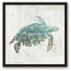 Turquoise Sea Turtle Walnut Floating Framed Canvas, 20"x20"