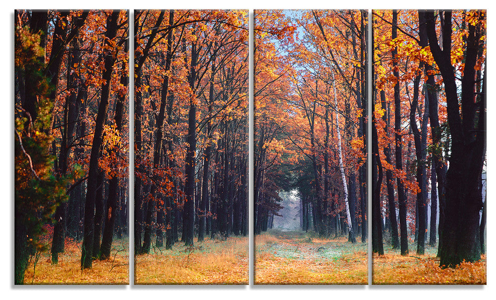 Alley in the Dense Autumn Forest, Forest Canvas Art Print, 48"x28", 4 Panels