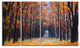 Alley in the Dense Autumn Forest, Forest Canvas Art Print, 48"x28", 4 Panels