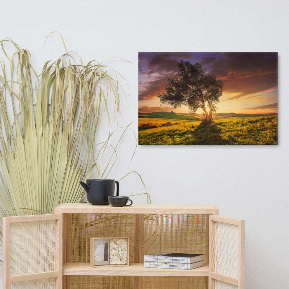 Countryside Olive Tree Sunset Landscape Photo Canvas Wall Art Prints, 24" X 36"