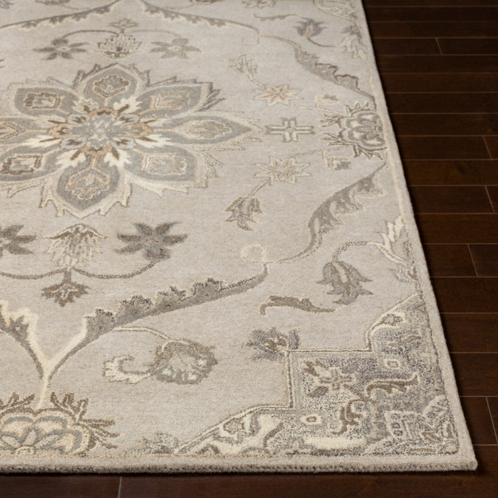Surya Caesar CAE-1113 Traditional Area Rug, Taupe, 10' x 14' Rectangle