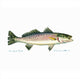 Betsy Drake Speckled Trout Outdoor Wall Hanging 24x30