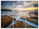 "Bright Sydney Coastline View" Metal Wall Art, 3 Panels, 36"x28"