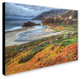 'Bigsur California' Canvas Art by Pierre Leclerc