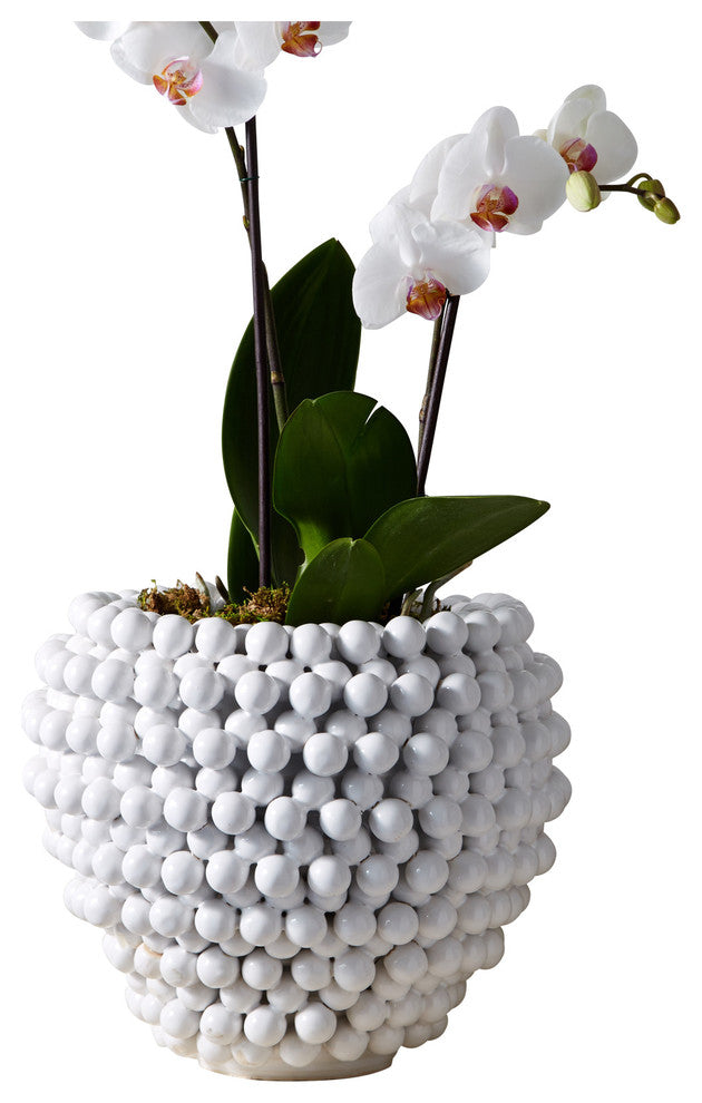 Two's Company Pompom Decorative Ceramic Vase/Planter, YUL109