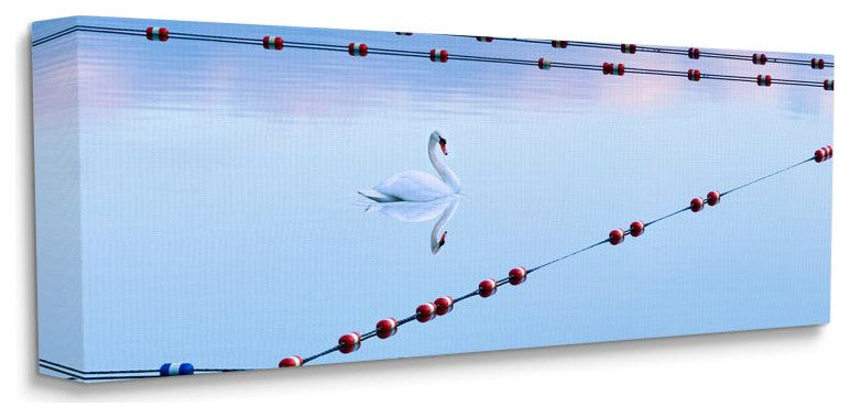 Swan Resting in Lake with Water Buoy Ropes20x48