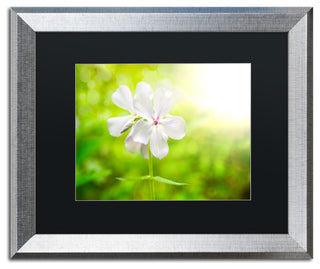 PIPA Fine Art 'Beauty of the Forest Floor' Matted Framed Art, 20x16