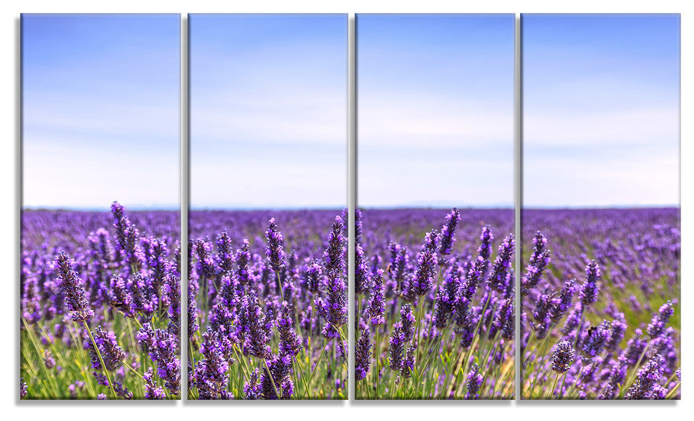 "Close View of Lavender Flower Field" Landscape Wall Art, 4 Panels, 48"x28"