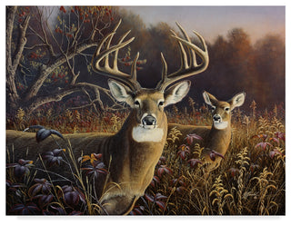 Wilhelm Goebel 'Deer' Canvas Art, 32"x24"