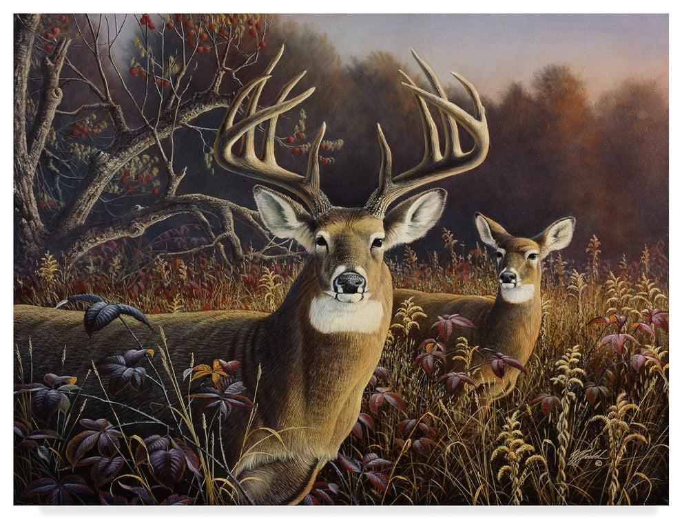 Wilhelm Goebel 'Deer' Canvas Art, 32"x24"