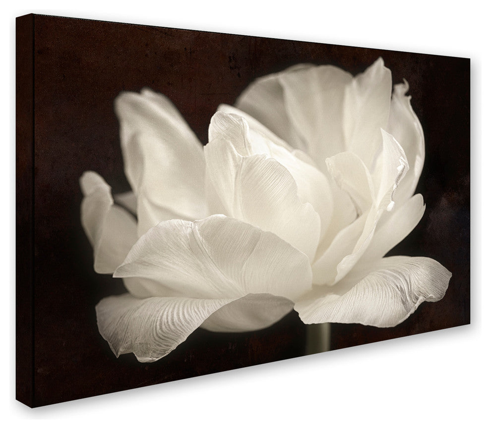 Cora Niele 'White Tulip III' Canvas Art
