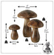 3 Piece Wooden Mushroom Set