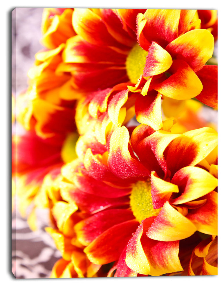 Red Yellow Flower Background Photo, Large Floral Canvas Artwork, 12"x20"