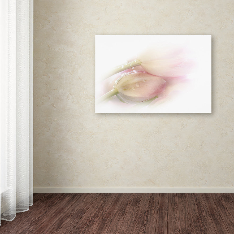 Stefan Eisele ''Touching'' Canvas Art, 30x47