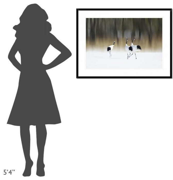 "Sing A Song Of Love" Framed Digital Print by Ikuo Iga, 38"x28"