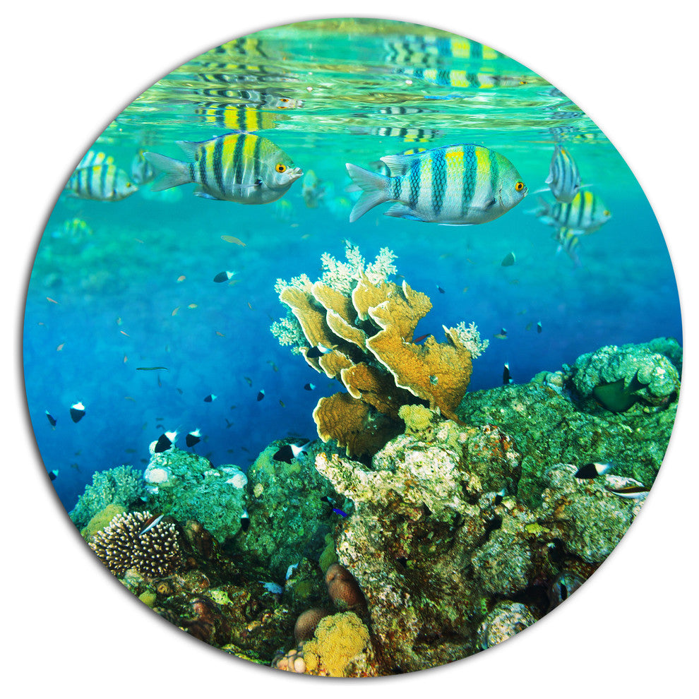 Fantastic Red Sea Coral Fish, Seashore Round Wall Art, 23"