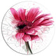 Blooming Red Flower Watercolor, Floral Wall Disc Metal Wall Art, 11"