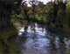 Fritz Thaulow On the Banks Wall Decal