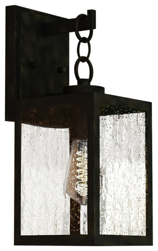 Berkley Metal 1-Light Textured Black Outdoor Wall Lantern Clear Glass