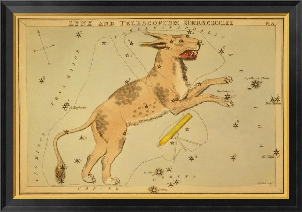 "Lynx and Telescopium Herschilii, 1825"  by Jehoshaphat Aspin, 40x28"