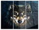 "Smiling Wolf" Glossy Metal Wall Art, 3 Panels, 36"x28"