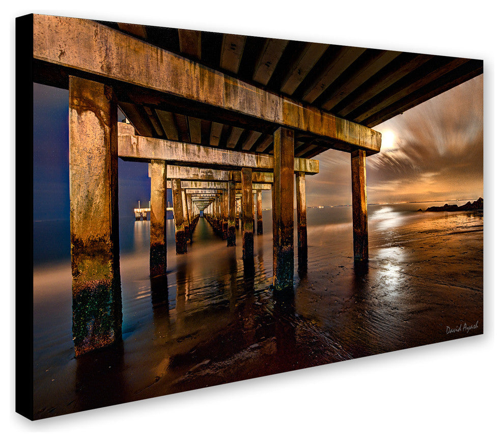'Coney Island Pier by Moonlight' Canvas Art by David Ayash