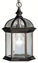 Outdoor Pendant 1-Light, Black, Incandescent