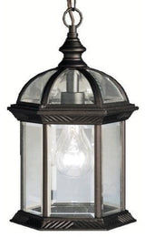 Outdoor Pendant 1-Light, Black, Incandescent