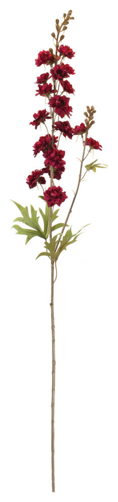 Delphinium, Set of 12