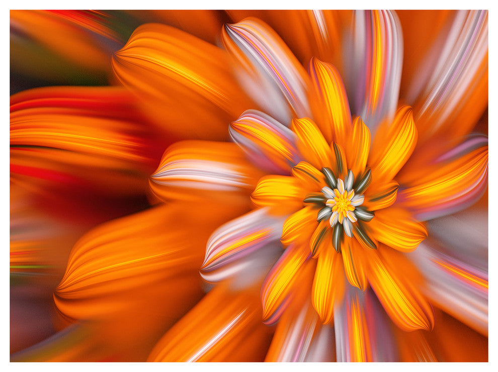 Massive Orange Fractal Flower, Floral Canvas Art Print, 40"x30"