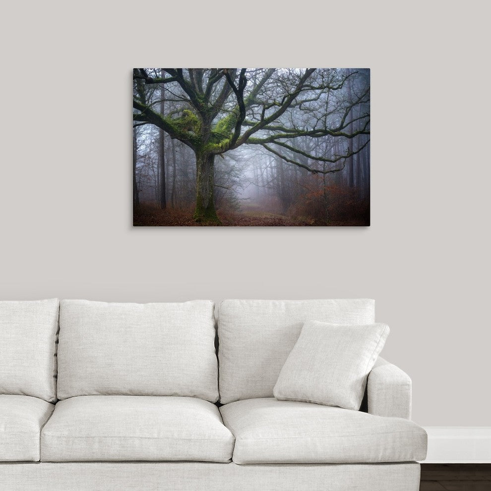 "Old oak tree" Wrapped Canvas Art Print, 36"x24"x1.5"
