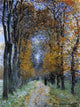 Claude Oscar Monet The Avenue, 21"x28" Wall Decal Print