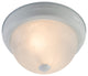 11" Incandescent Overhead Light