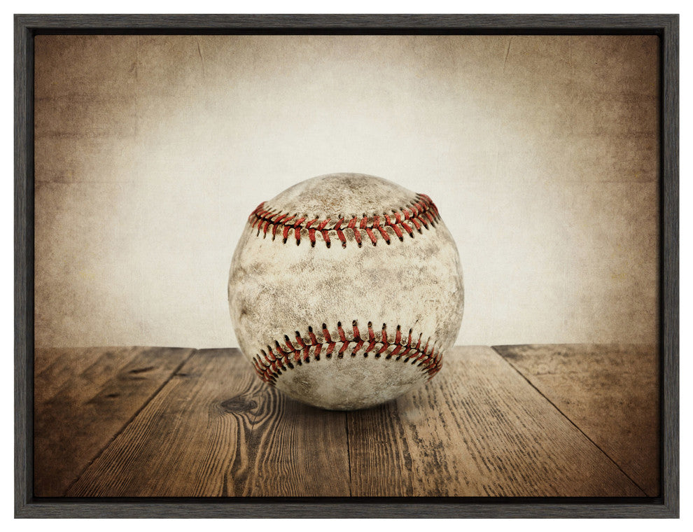 Sylvie Vintage Baseball Framed Canvas by Shawn St. Peter, Gray 18x24