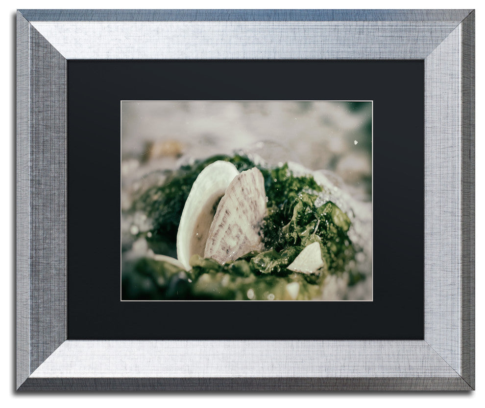 PIPA Fine Art 'Seaweed and Shells' Matted Framed Art, 14x11