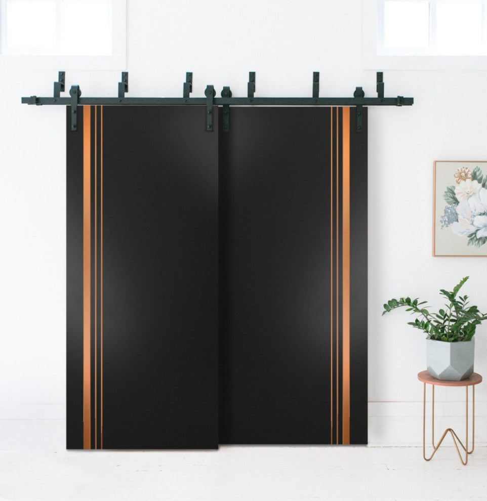 Slab Barn Door Panel 30 x 96 | Planum 1010 Matte Black with  | Sturdy Finished