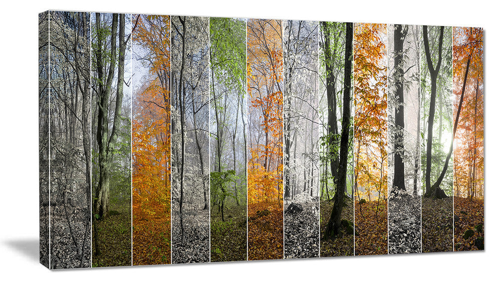 Wood Panorama Changing Seasons, Landscape Canvas Art Print, 32"x16"