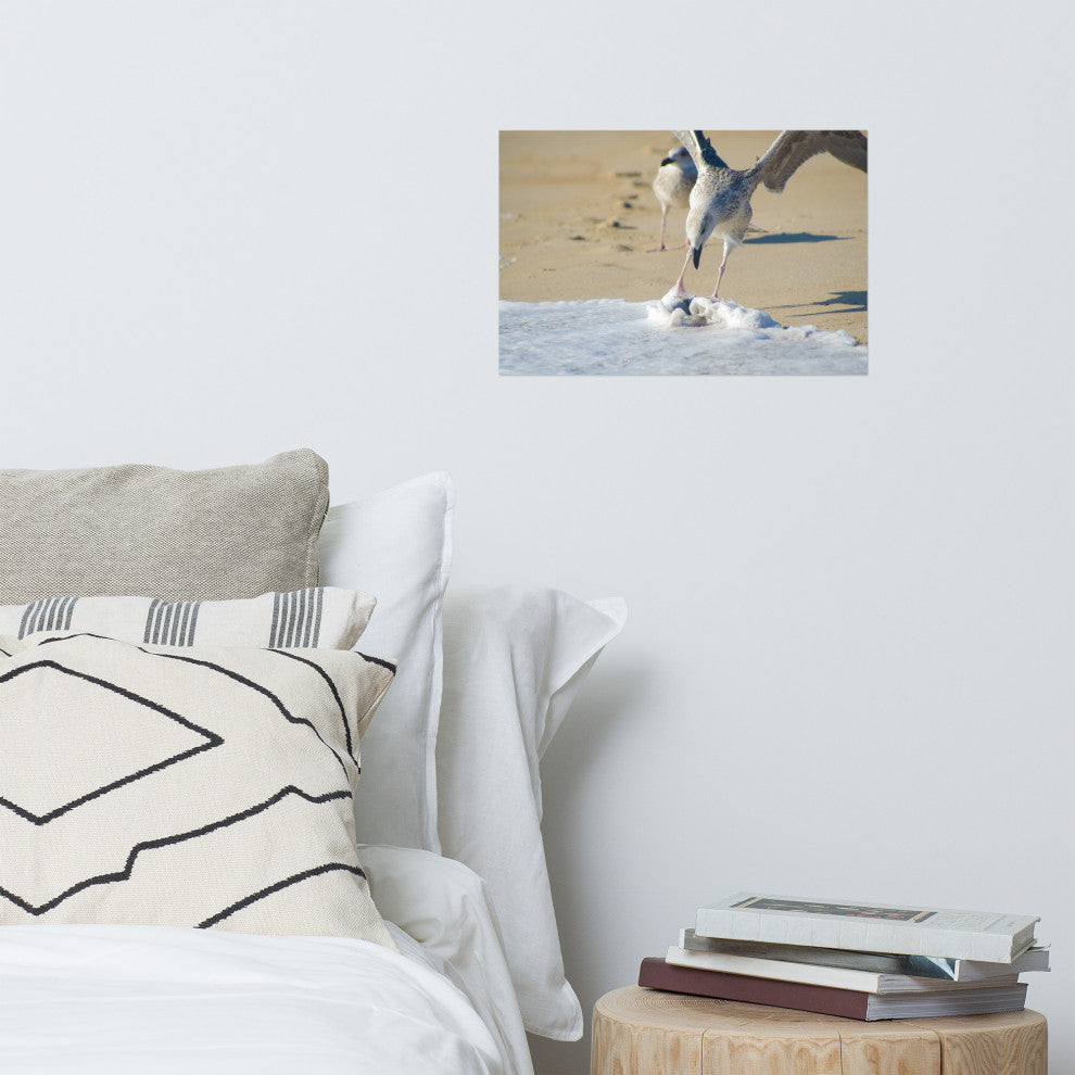 Oh That's Cold (Coastal Birds) Wildlife Photography Unframed Wall Art Print, 12" X 18"