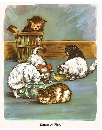 Kitten at Play - Gallery Wrapped Canvas Art 28" x 42"