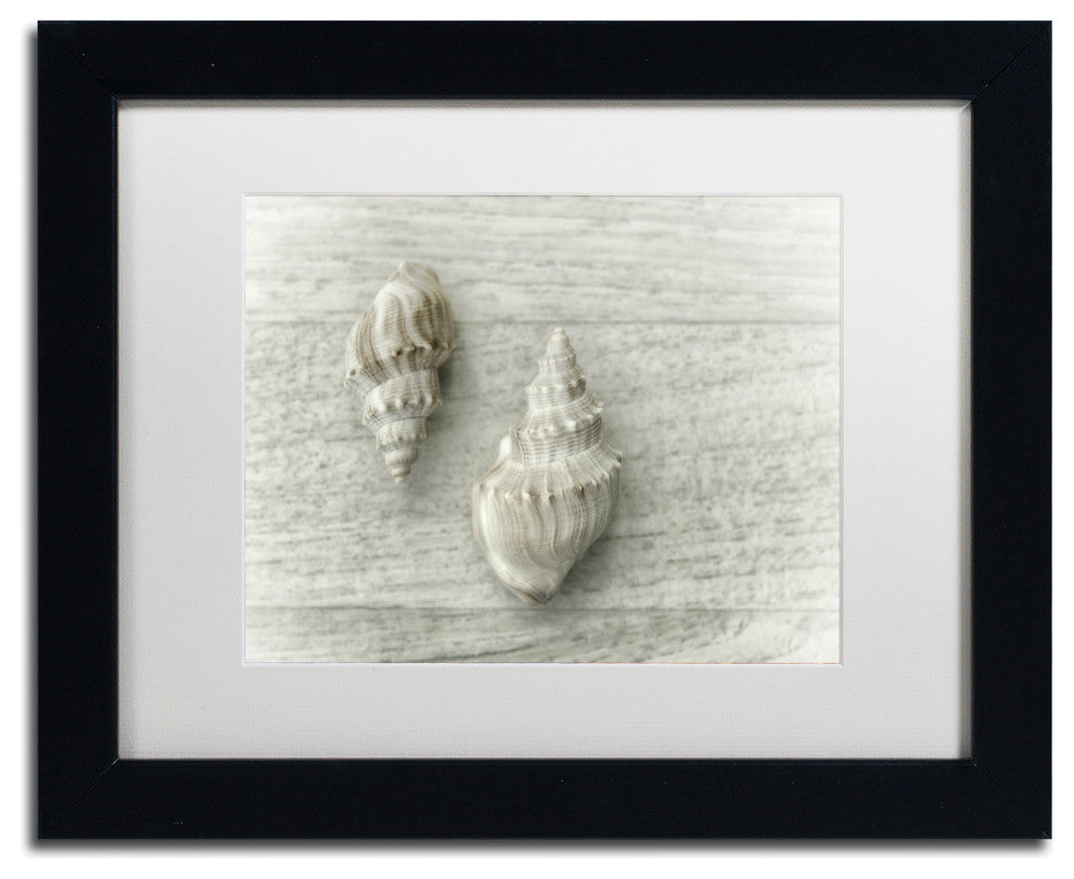Cora Niele 'Two Cancellaria Shells' Matted Framed Art