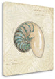 "Beach Treasures III" By Emily Adams, Giclee Print on Gallery Wrap Canvas